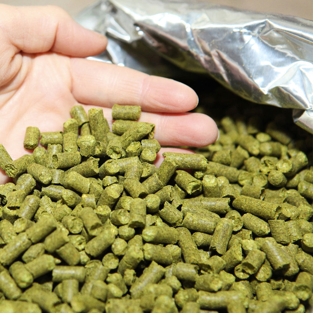 SORACHI ACE